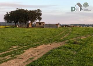 Residential Plot in Dehesilla de Calamón - Campomanes. Badajozterreno