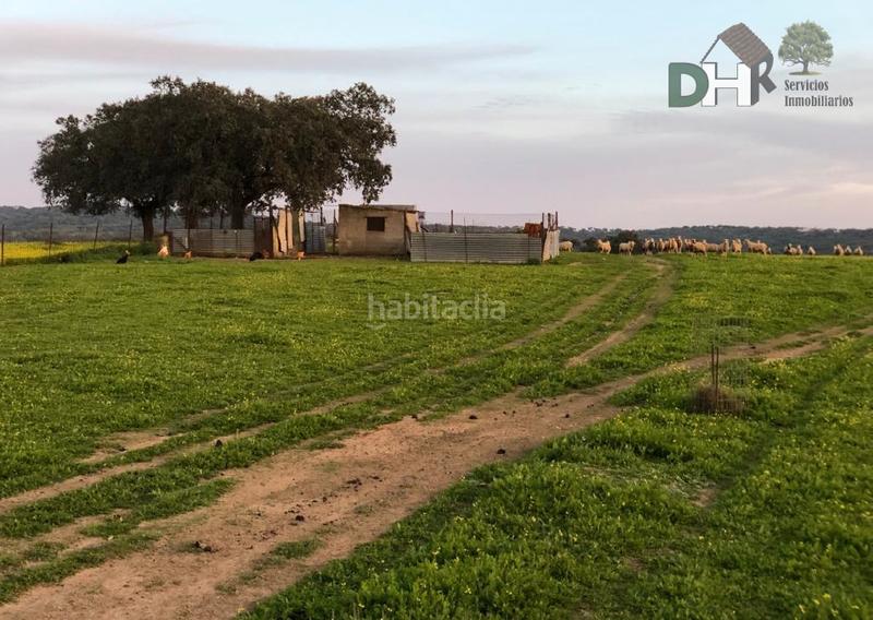 Foto 2d3c1c0f-6795-4da2-b93b-856772a398a6. Terreny residencial a Dehesilla de Calamón - Campomanes Badajoz