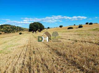 Terreno residencial en Los Cigarrales-La Bastida. Toledoterreno