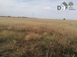 Terreny residencial a Dehesilla de Calamón - Campomanes. Badajozterreno