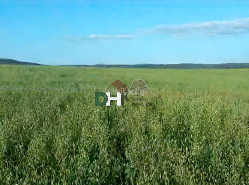 Foto 13ae615e-6ab3-43ac-a0dd-6f967585bcd0. Terreny residencial a Dehesilla de Calamón - Campomanes Badajoz