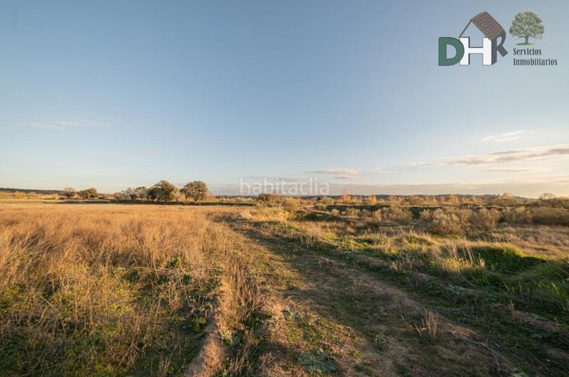 Foto 5c31e5a1-f955-4e57-a5e5-71e8739c44ee. Residential plot in Parque Boadilla Boadilla del Monte