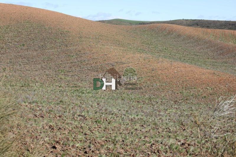 Foto 0820e89d-311b-475c-a124-9b2751fd4f67. Terreny residencial a Los Cigarrales-La Bastida Toledo