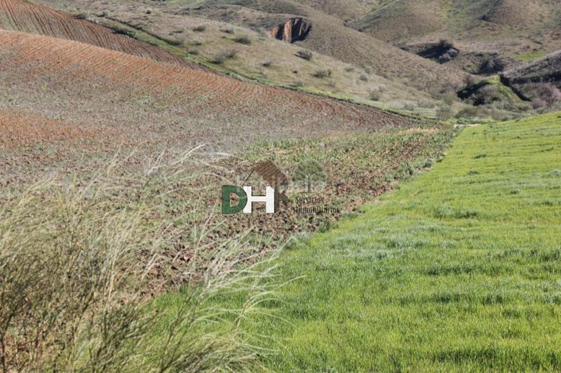 Foto 1993eefe-5a80-471d-8cf0-ad25f04a385c. Terreny residencial a Los Cigarrales-La Bastida Toledo