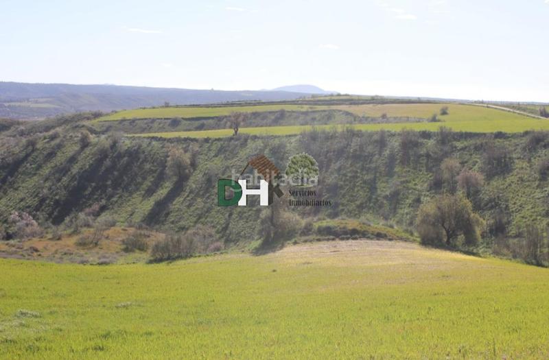 Foto 965bf3ff-d415-4c66-bc6d-99e25c9ecef5. Terreny residencial a Los Cigarrales-La Bastida Toledo
