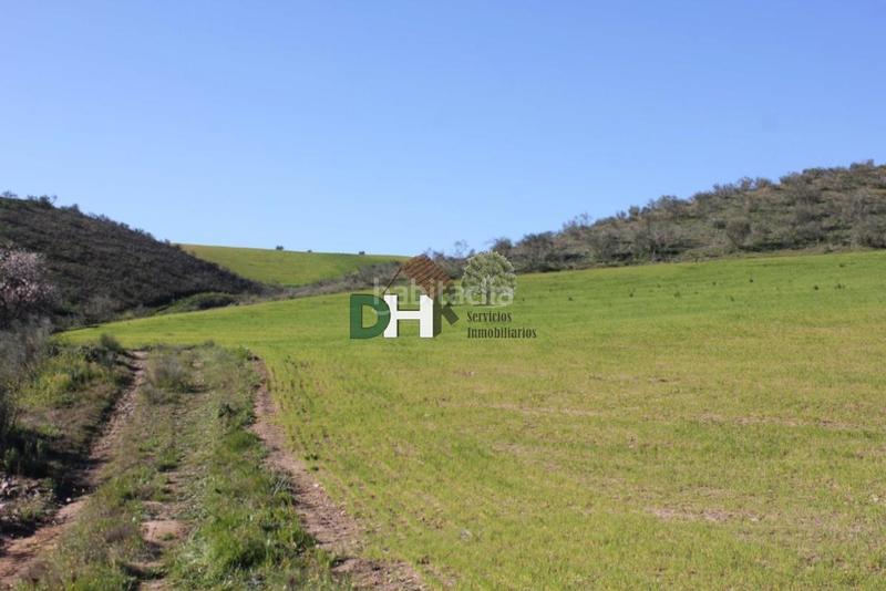 Foto ea01531b-6b68-49f2-9924-3bc1188bb58d. Terreny residencial a Los Cigarrales-La Bastida Toledo