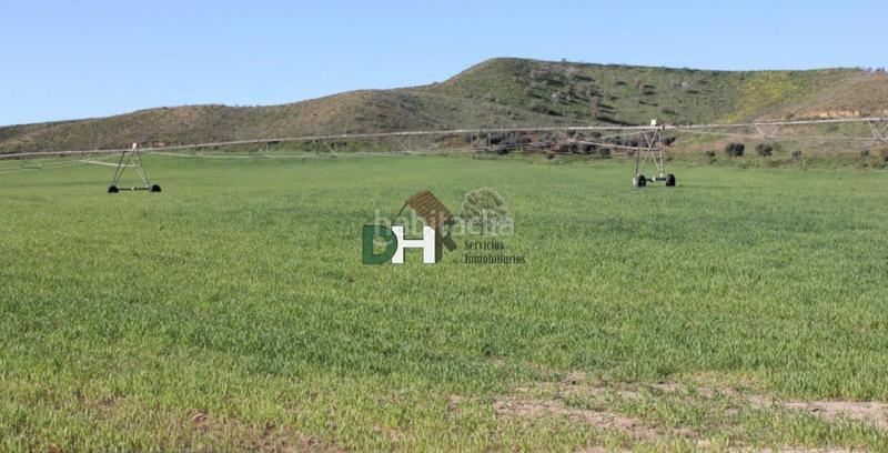 Foto ec86059c-d5fc-456b-9085-8d9a6bdb4dc4. Terreny residencial a Los Cigarrales-La Bastida Toledo