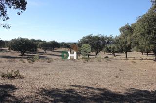 Terreny residencial a Ceres Golf. Cáceresterreno