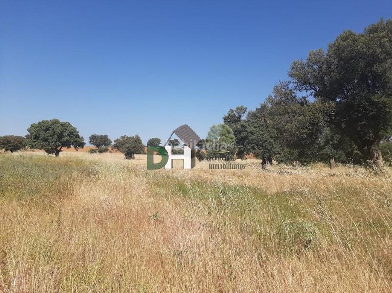 Foto 98b8e244-7c95-4e5a-9133-f707aff18ea9. Terreny residencial a Los Cigarrales-La Bastida Toledo