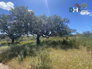 Terreno residencial en El Carmen - Cardeñas. Huelvaterreno