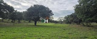 Residential Plot in Ruta de la Plata. Cáceresterreno