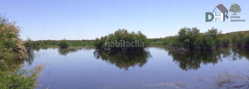 Foto cc2c5842-3755-4220-a9c1-67a5692d9be7. Terreny residencial a Los Cigarrales-La Bastida Toledo