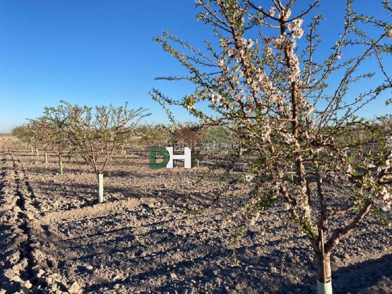 Foto 49c35b19-8ce0-45e6-b280-cbdeb4c6b0f7. Terreny residencial a Los Cigarrales-La Bastida Toledo