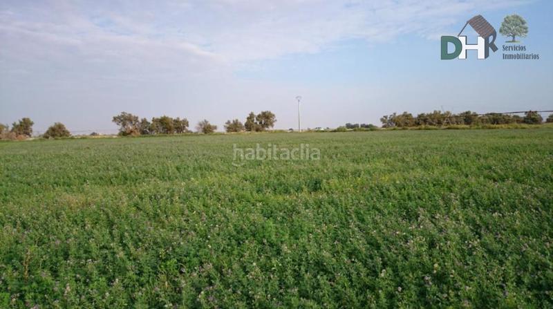 Foto a221edee-05a6-4000-8395-549d8cc7990f. Terreny residencial a Los Cigarrales-La Bastida Toledo