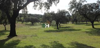 Terreno residencial en San Roque - Ronda Norte. Badajozterreno