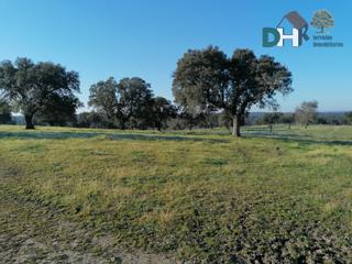 Residential Plot in Campus Universitario. Cáceresterreno