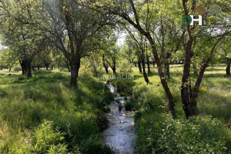 Foto 5676d851-bc2d-4fd2-b3ad-5033c455411f. Terrain résidentiel dans El Pardo Madrid