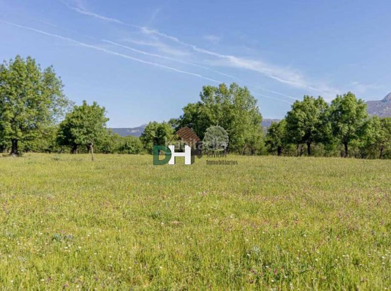 Foto f6b5e94e-d72f-463e-af0e-6d45b4b6d1e8. Terrain résidentiel dans El Pardo Madrid