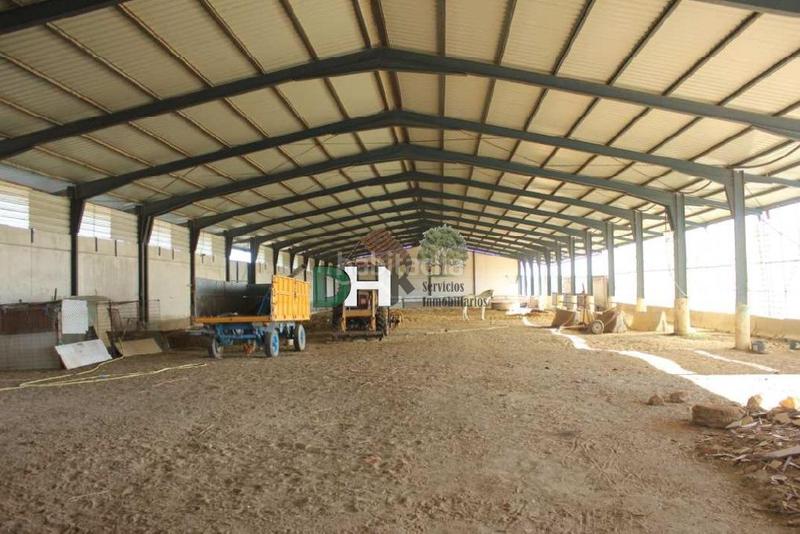 Foto 5169c2d8-4ff8-4d65-af3e-7cb8b1596002. Terreny residencial a Los Cigarrales-La Bastida Toledo