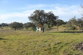 Terreno residencial en San Roque - Ronda Norte. Badajozterreno
