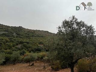 Residential Plot in Carretera de Sevilla - Los Montitos. Badajozterreno