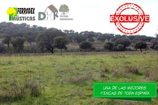 Terreny residencial a Ruta de la Plata. Cáceresterreno