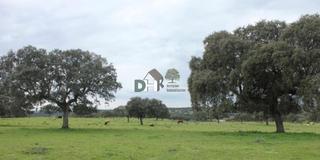 Residential Plot in Valdesalor - Rincón de Ballesteros. Cáceresterreno