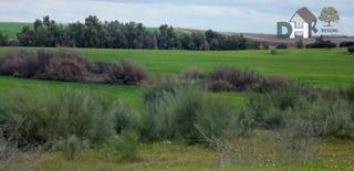 Residential Plot in Carretera de Sevilla - Los Montitos. Badajozterreno