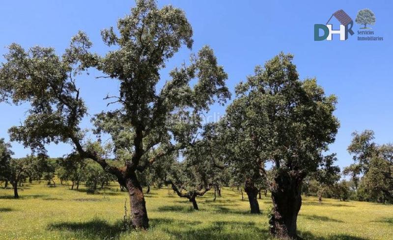 Foto 4dba7472-9176-4094-b7d1-ea305f60aed3. Terreny residencial a San Roque - Ronda Norte Badajoz