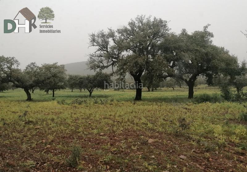 Foto 63c33c28-2b53-4a93-bb62-d52323d3b082. Terreny residencial a San Roque - Ronda Norte Badajoz