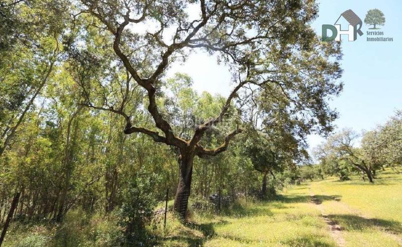 Foto 6f1e2240-7aea-418d-8e88-7e9a8768d32c. Terreny residencial a San Roque - Ronda Norte Badajoz