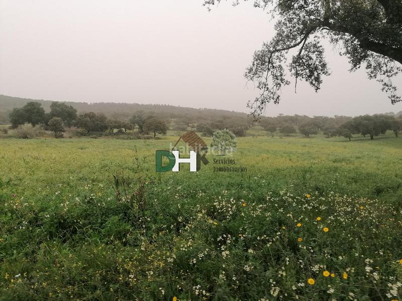 Foto 7530a7b8-4d12-454f-a607-4886cf81512a. Terreny residencial a San Roque - Ronda Norte Badajoz