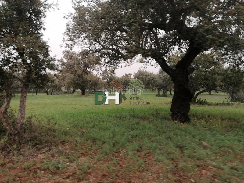 Foto 9f1dfc62-a9d0-4d49-a74b-3f898a3c5273. Terreny residencial a San Roque - Ronda Norte Badajoz