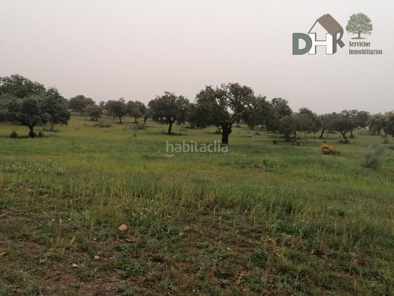 Foto c4bf92c5-91a1-4166-b971-43b82400fb56. Terreny residencial a San Roque - Ronda Norte Badajoz