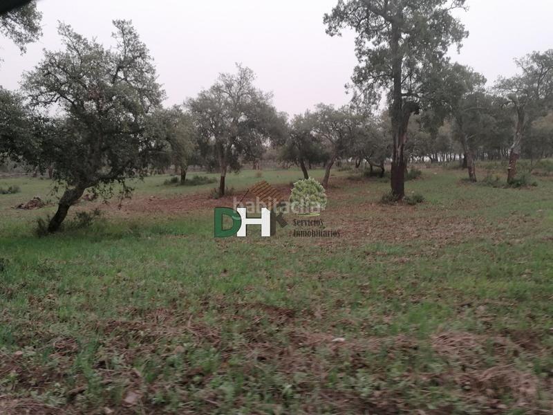 Foto de441226-9736-4362-83bc-ce7efbf57a3b. Terreny residencial a San Roque - Ronda Norte Badajoz