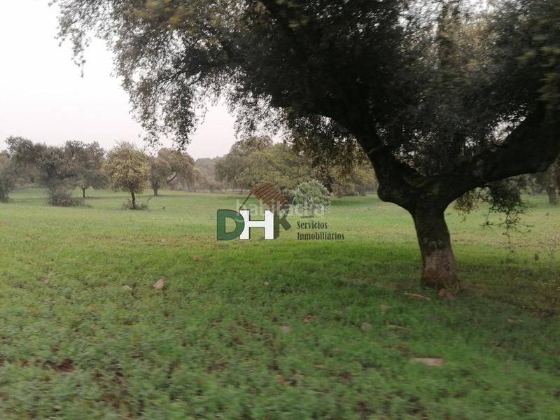 Foto e3680843-ec00-475d-9501-89bcca872d83. Terreny residencial a San Roque - Ronda Norte Badajoz