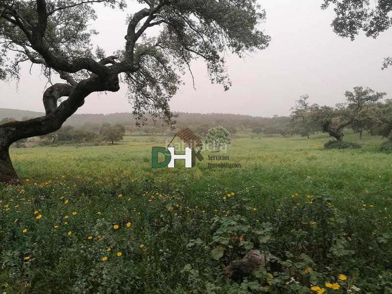 Foto f9169ef7-046a-4082-b388-e3d86ec8cc80. Terreny residencial a San Roque - Ronda Norte Badajoz