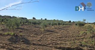 Residential Plot in Norte. Méridaterreno