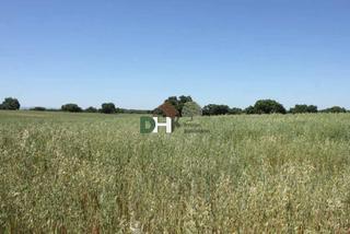Terreno residencial en San Roque - Ronda Norte. Badajozterreno