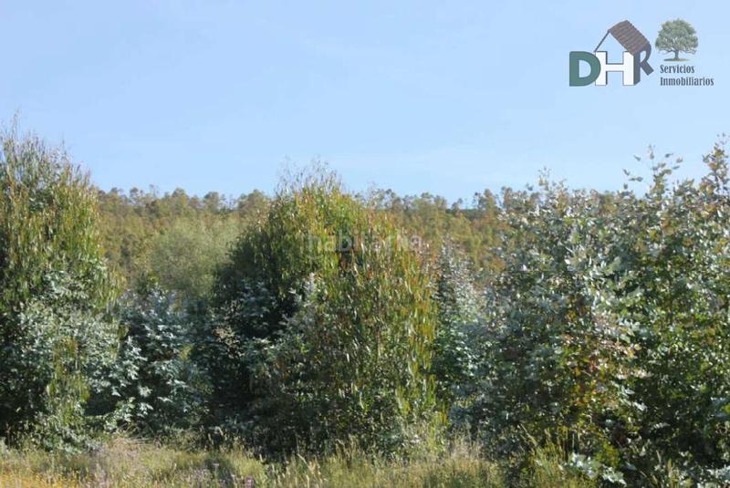 Foto 3fbc167f-b37e-4076-a6e9-5fc5a95f5fa7. Terreny residencial a San Roque - Ronda Norte Badajoz