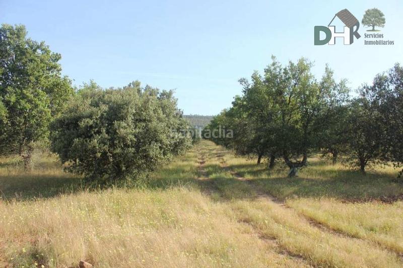 Foto 8e7a7b95-8e41-4f2f-8c6c-27e67f9858fe. Terreny residencial a San Roque - Ronda Norte Badajoz