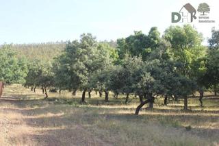 Terreno residencial en San Roque - Ronda Norte. Badajozterreno