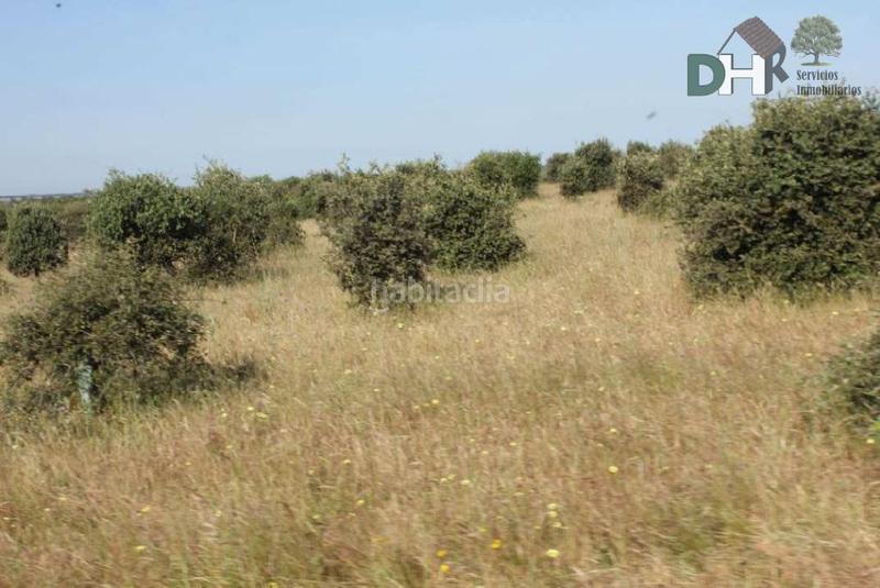 Foto f93dc0c8-198d-4afe-8e17-d15af0db1469. Terreny residencial a San Roque - Ronda Norte Badajoz