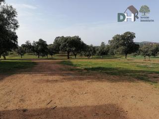 Terreno residencial en San Roque - Ronda Norte. Badajozterreno