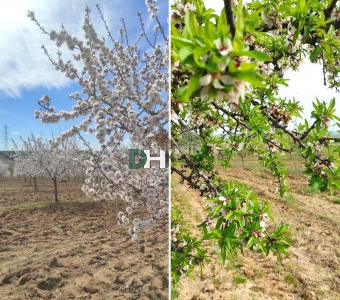 Foto 375f7226-224e-4e9e-9ee1-c2585aa5f0b5. Terreny residencial a Los Cigarrales-La Bastida Toledo