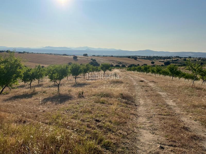 Foto 006435d7-251f-42ec-a75c-5b7b2042c3c6. Terreny residencial a Los Cigarrales-La Bastida Toledo