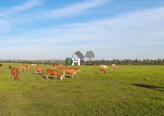 Terreny residencial a Ruta de la Plata. Cáceresterreno