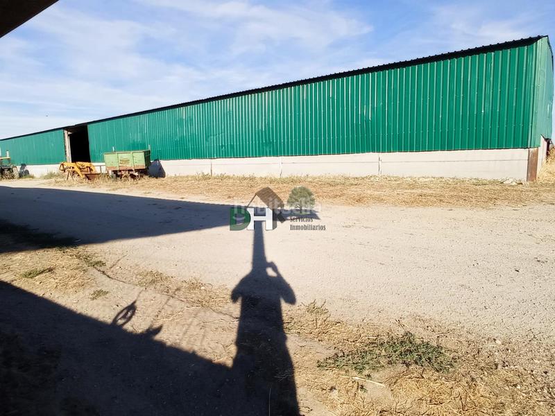 Foto 4bc9dd75-b876-478b-b215-25d4ff3a848c. Terreny residencial a Los Cigarrales-La Bastida Toledo