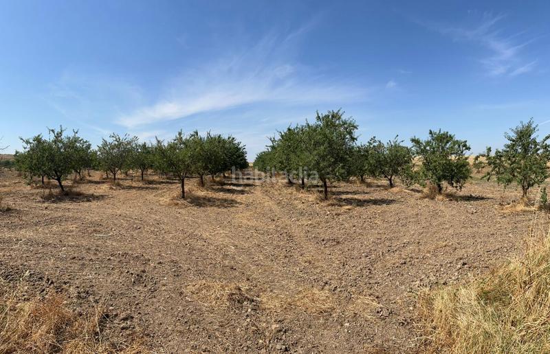 Foto 814d8399-f93c-4fed-8abd-f00be9ab2317. Terreny residencial a Los Cigarrales-La Bastida Toledo