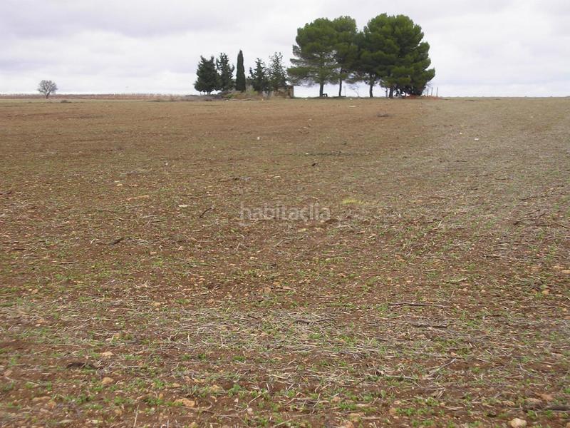 Foto 8cf9ce05-2281-46eb-9b4a-6dca210bac7f. Terreny residencial a Los Cigarrales-La Bastida Toledo